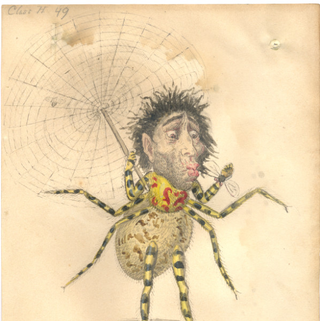 Illustration for article titled In the 1870s, Charles Darwin was the theme of a downright deranged Mardi Gras parade